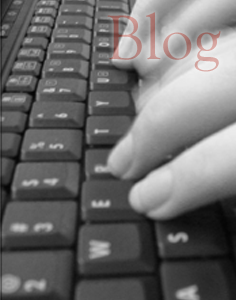 blog OFF